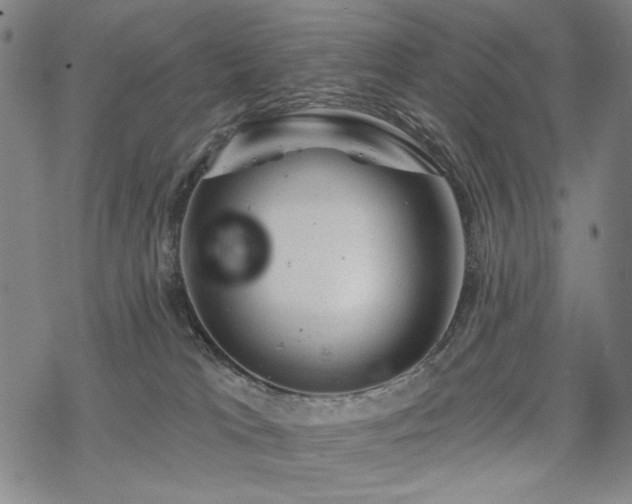 X0000068820037200605051222