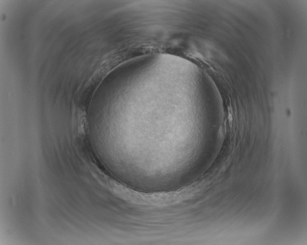 X0000068820038200605051222