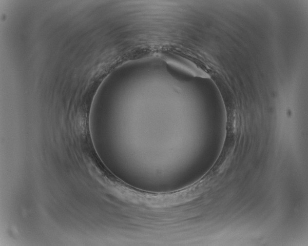 X0000068820039200605051222