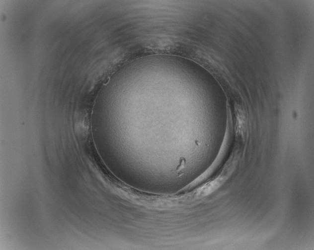 X0000068820040200605051222