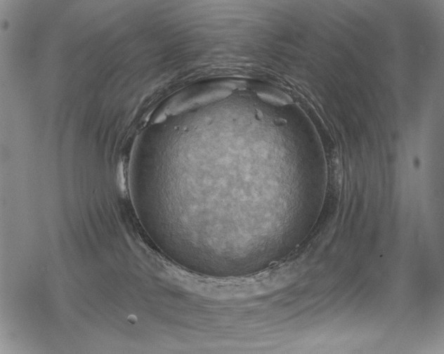 X0000068820042200605051222