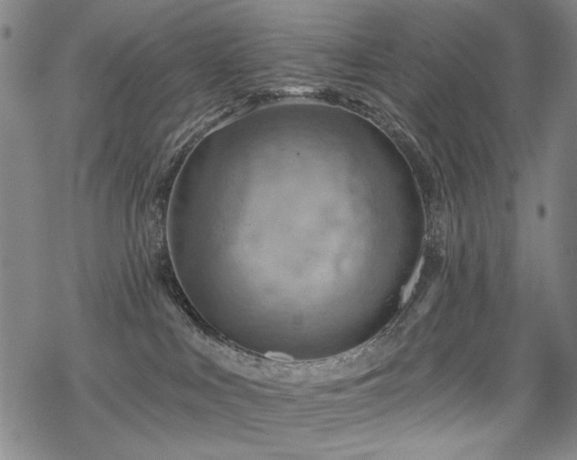 X0000068820043200605051222