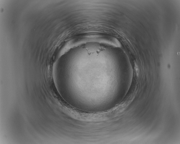 X0000068820044200605051222