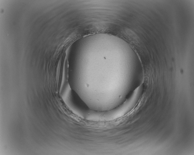 X0000068820045200605051222