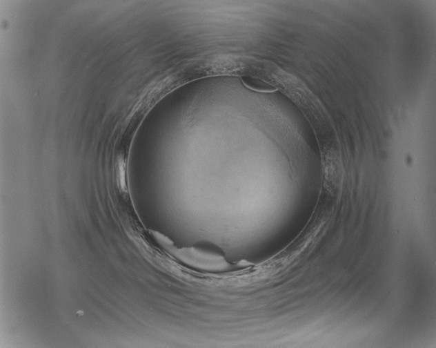 X0000068820046200605051222