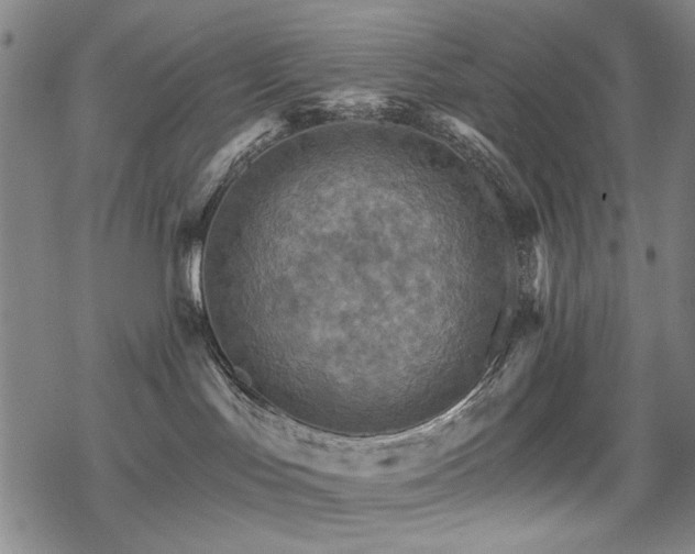 X0000068820047200605051222