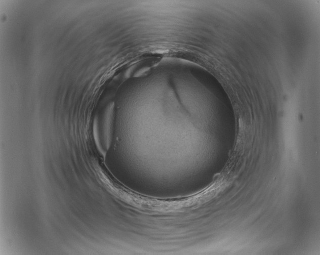 X0000068820048200605051222