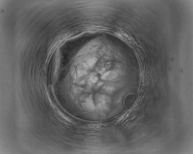 X0000068820049200605051221