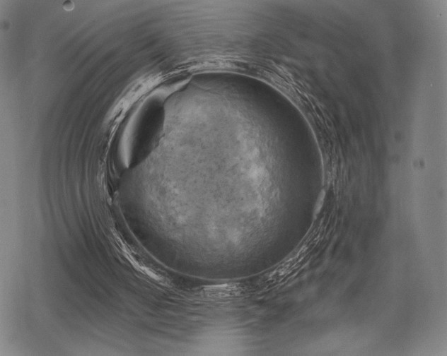 X0000068820050200605051221