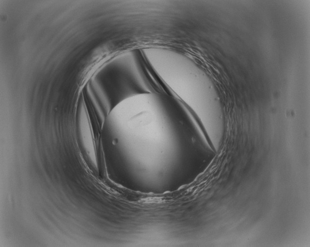 X0000068820052200605051221