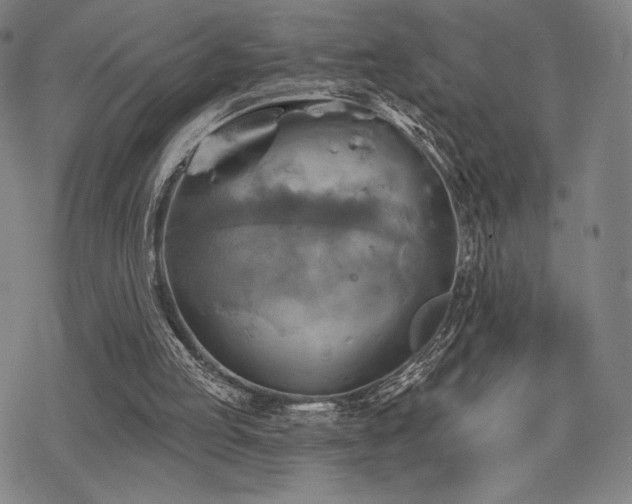 X0000068820053200605051221