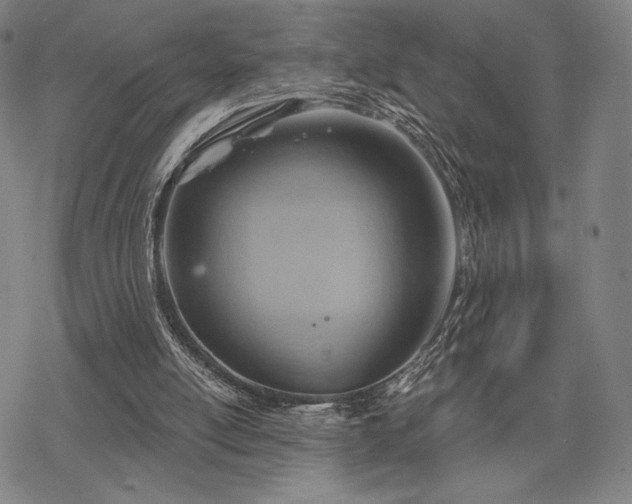 X0000068820054200605051221