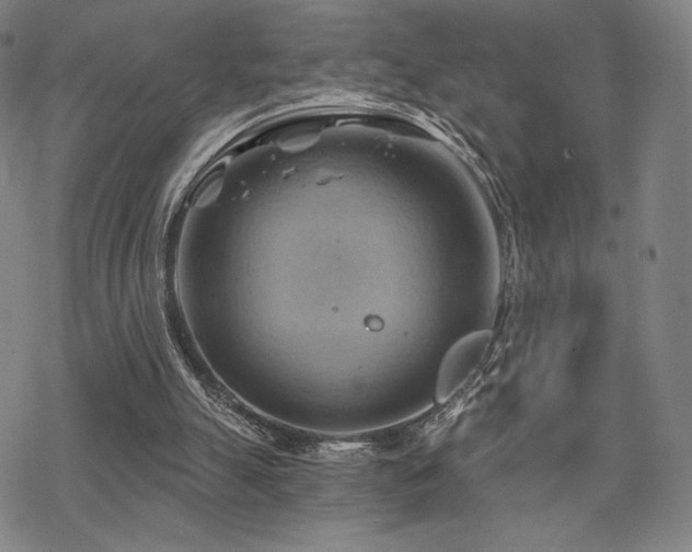 X0000068820055200605051221