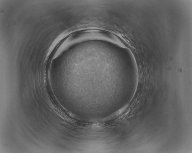 X0000068820056200605051221