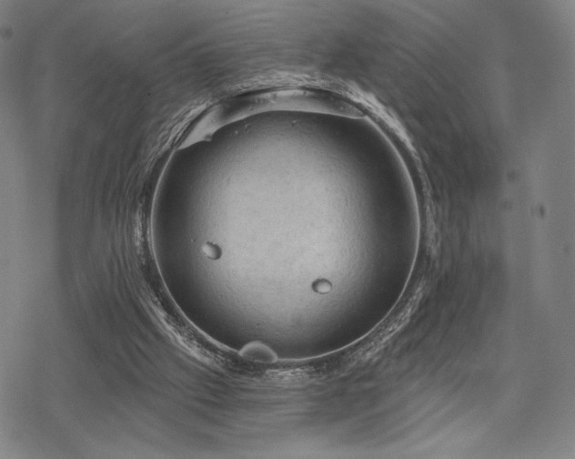 X0000068820057200605051221