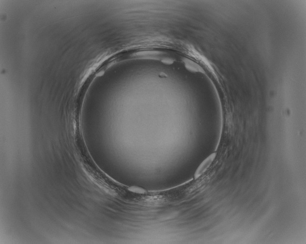 X0000068820059200605051221