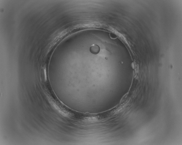 X0000068820061200605051221