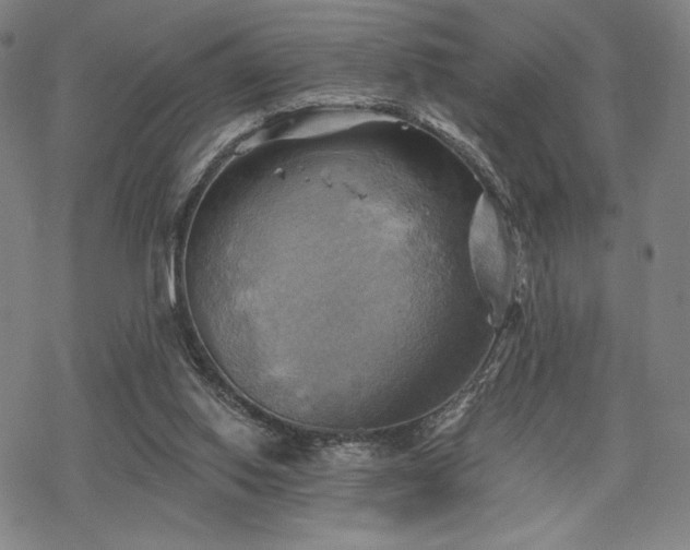 X0000068820062200605051221