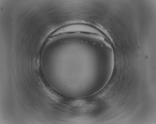 X0000068820063200605051221