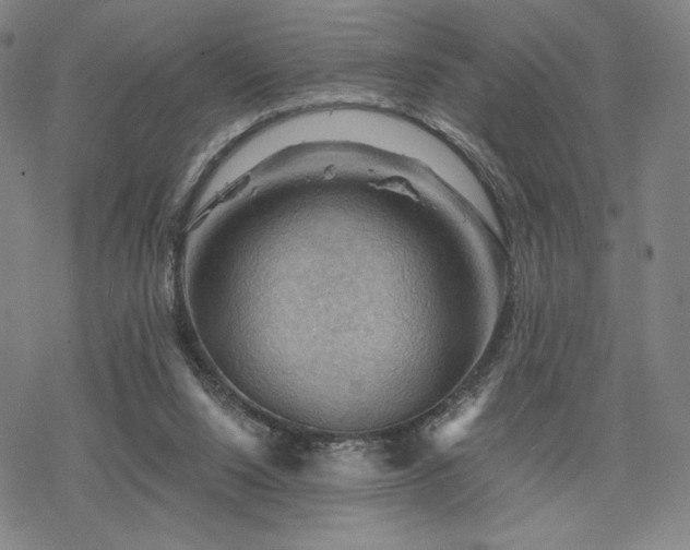 X0000068820064200605051221