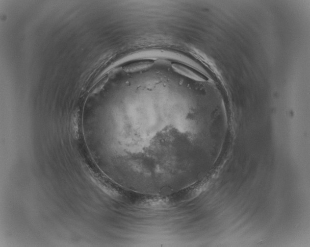 X0000068820065200605051221