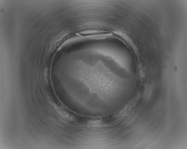 X0000068820066200605051221