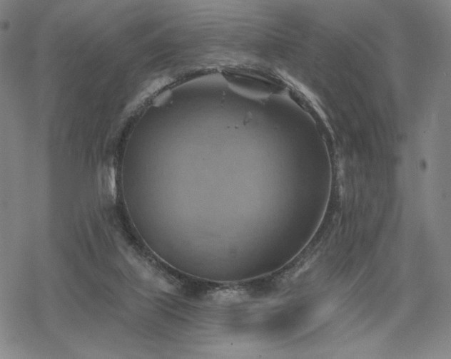 X0000068820067200605051221