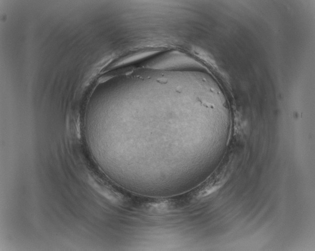 X0000068820068200605051221