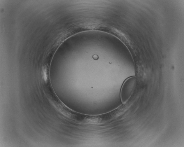 X0000068820069200605051221