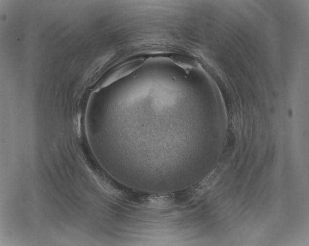 X0000068820070200605051221