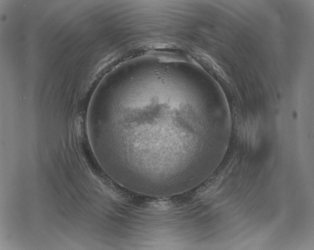 X0000068820071200605051221