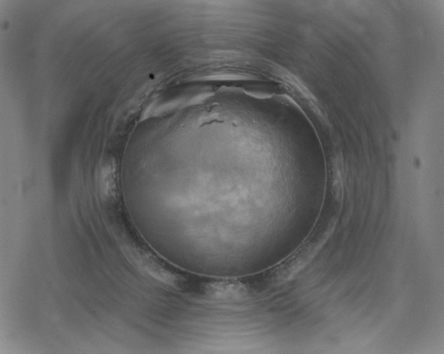 X0000068820073200605051221