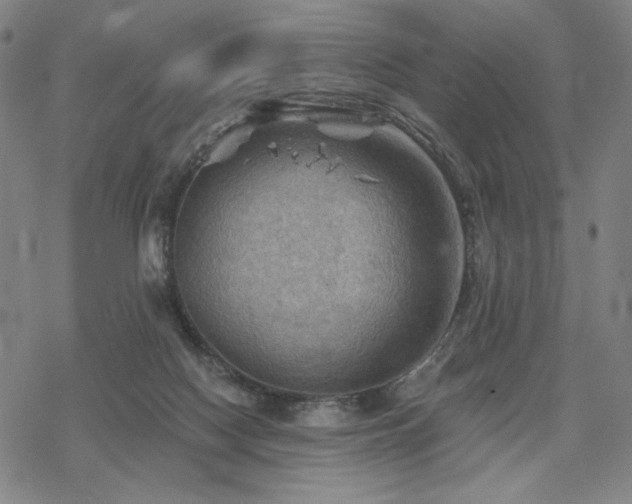 X0000068820074200605051221