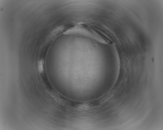 X0000068820075200605051221