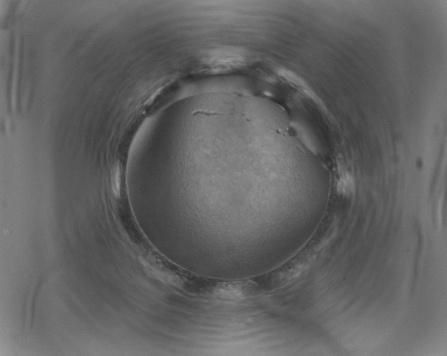 X0000068820076200605051221