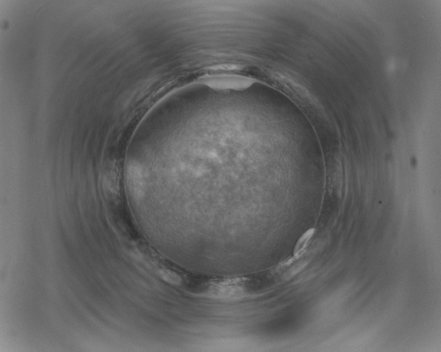 X0000068820078200605051221