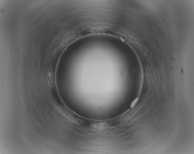 X0000068820079200605051221