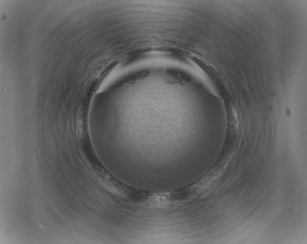 X0000068820080200605051221