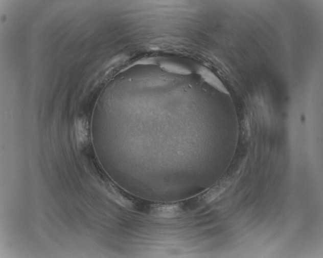 X0000068820081200605051221