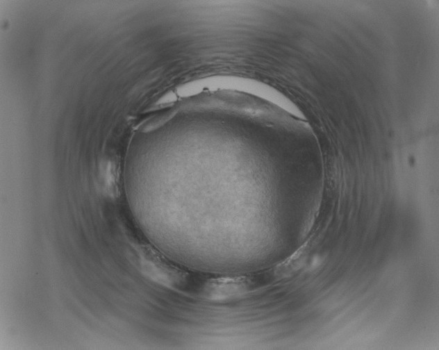 X0000068820082200605051221