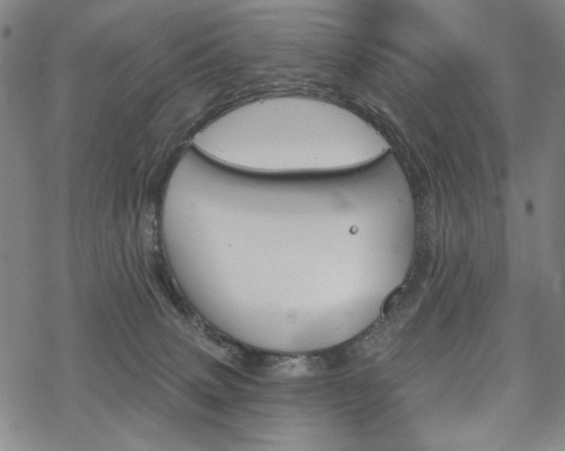 X0000068820083200605051221