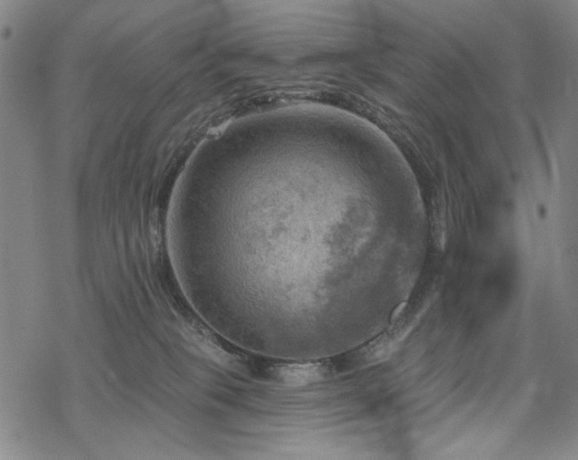 X0000068820085200605051221