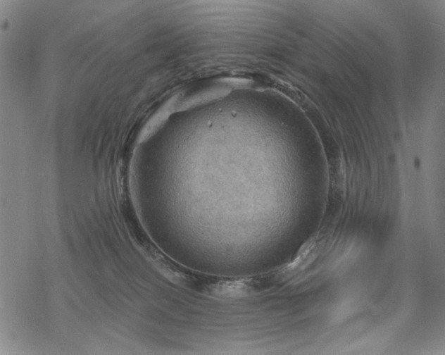 X0000068820086200605051221