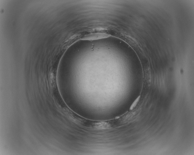 X0000068820087200605051221