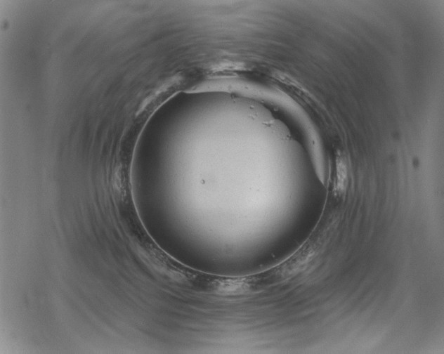 X0000068820088200605051222