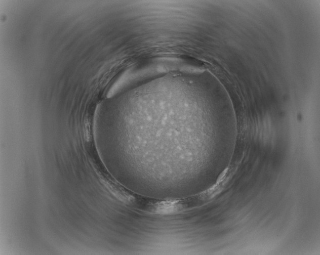 X0000068820090200605051222