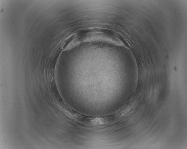 X0000068820091200605051222