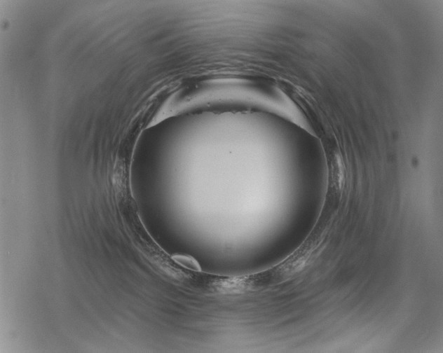 X0000068820092200605051222