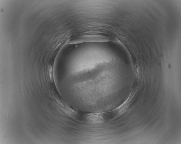 X0000068820094200605051222