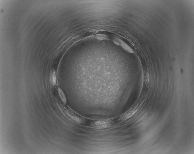 X0000068820095200605051222